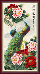 牡丹 孔雀