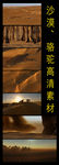 沙漠骆驼实拍素材
