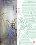 玉兰花 白玉兰   艺术