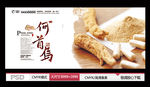 中药何首乌