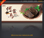 何首乌中药