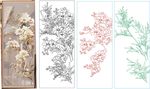 花影