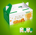 水果礼品包装 蔬果包装