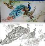 孔雀呈祥
