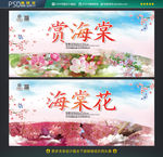 赏海棠花 海棠花海报
