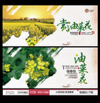 赏油菜花 油菜花