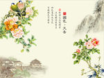 国色天香牡丹
