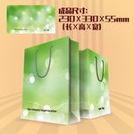 绿色环保纸袋设计展开图PSD