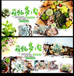 多肉植物