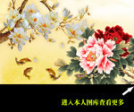 牡丹背景墙图片下载