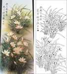 幽兰飘香