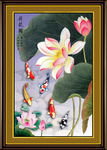 荷花鱼