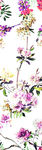 花纹花枝