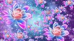 满天花开