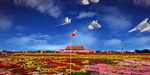 国庆节和平鸽飞翔中华山河党政