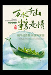 端午节 万水千山粽是情