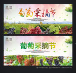 葡萄采摘节