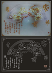 室雅兰香 玉兰花