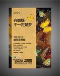 蝴蝶公馆
