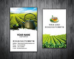茶名片图片