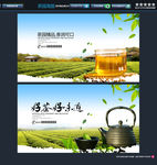 茶园  唯美