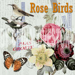 欧美花鸟装饰画