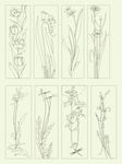 移门花纹