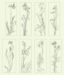 移门花纹