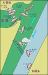 航运 插图