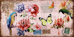 欧美花鸟饰画
