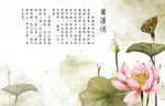 中国风莲花背景底纹