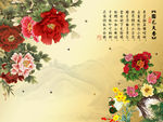 国色天香牡丹花