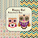 卡通猫头鹰装饰画