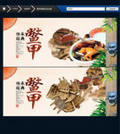 鳖甲 中药 中国风
