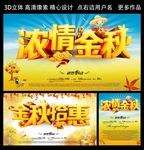 金秋拾惠 浓情金秋