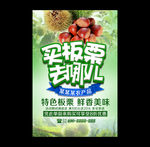 板栗