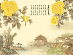 国色天香牡丹花