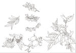 工笔线描画