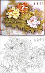 牡丹花