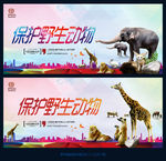 保护动物
