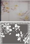 玉兰花