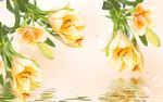 现代花朵电视背景墙