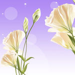 紫色梦幻花朵电视背景墙