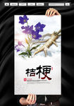 中药桔梗
