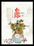 白露二十四节气