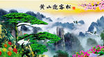 黄山迎客松