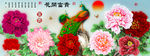 十字绣钻石画花开富贵孔雀牡丹