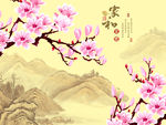 家和富贵玉兰花