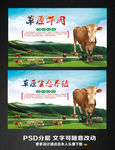 草原牛肉 草原生态养殖
