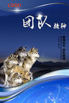 团队精神